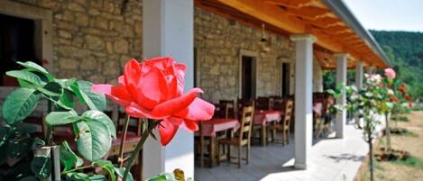Terrasse/patio
