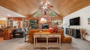 Smart TV, fireplace, DVD player, books