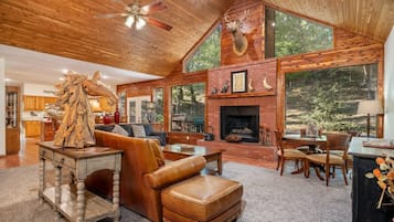 Smart TV, fireplace, DVD player, books