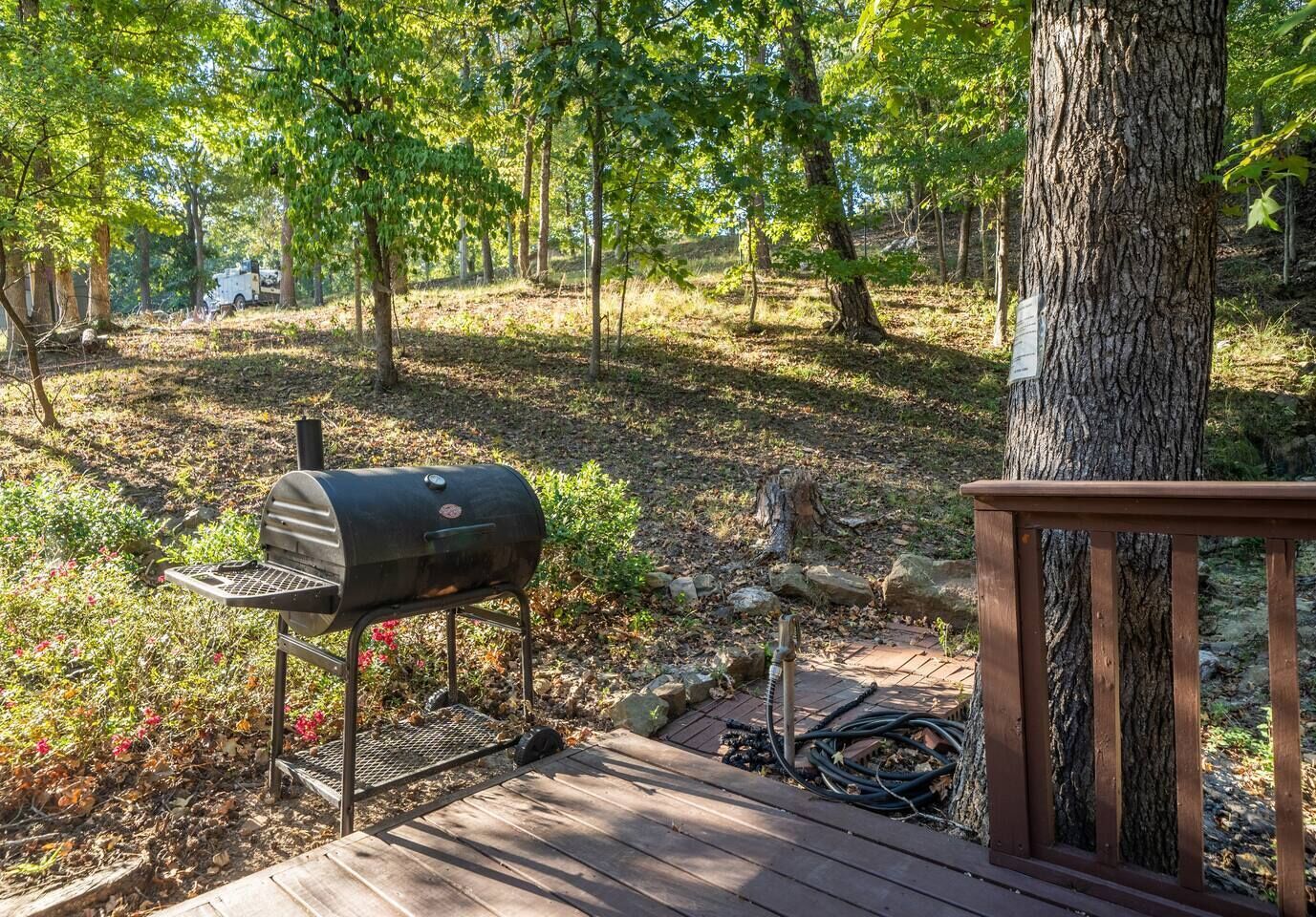 Une terrasse en bois avec un barbecue, entourée d’arbres et d’un paysage naturel.