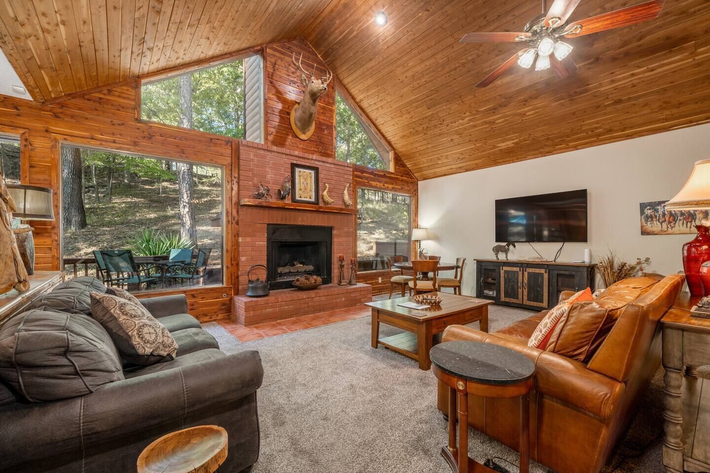 TV connectée, cheminée, lecteur de DVD, livres