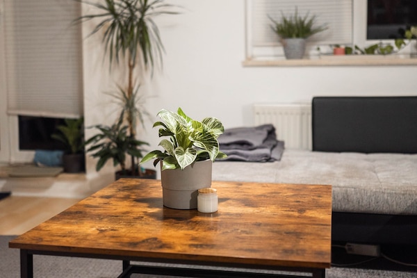 Smart TV, books, printers