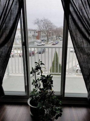 A window with sheer curtains, a potted plant, and a view of a parking lot and buildings.