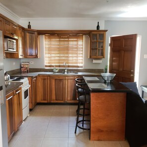 Fridge, microwave, oven, stovetop - Homey Bjorn Chateau, Super Quiet, Relaxing & Clean, Great for Family or Friends. (Kingston)