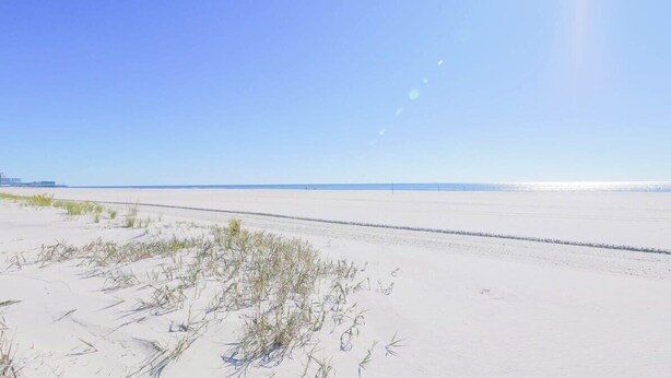 A wide, flat sandy beach with sparse vegetation and a clear blue sky.