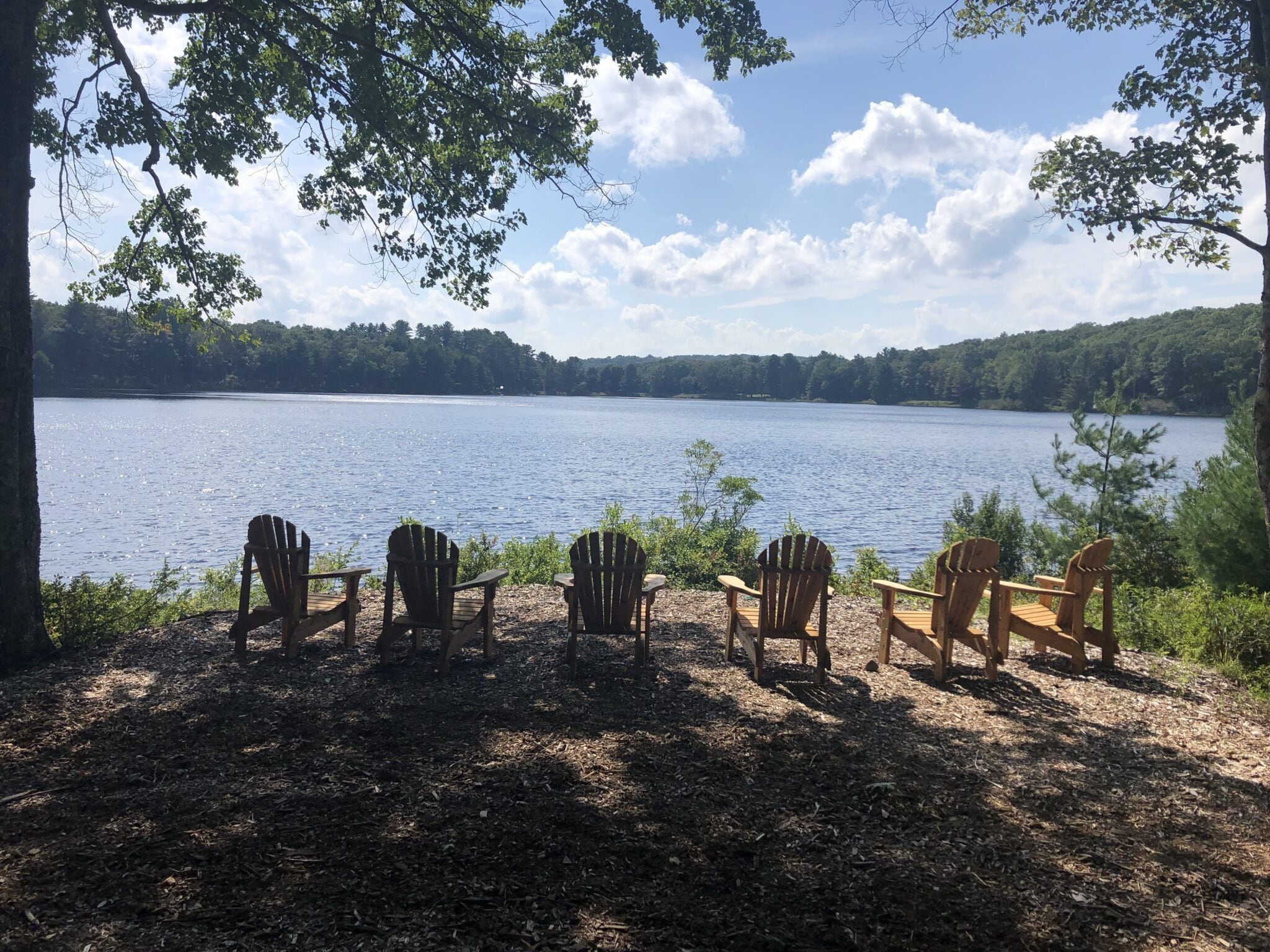 A lakeside view with wooden chairs facing the water, surrounded by trees and a clear sky.