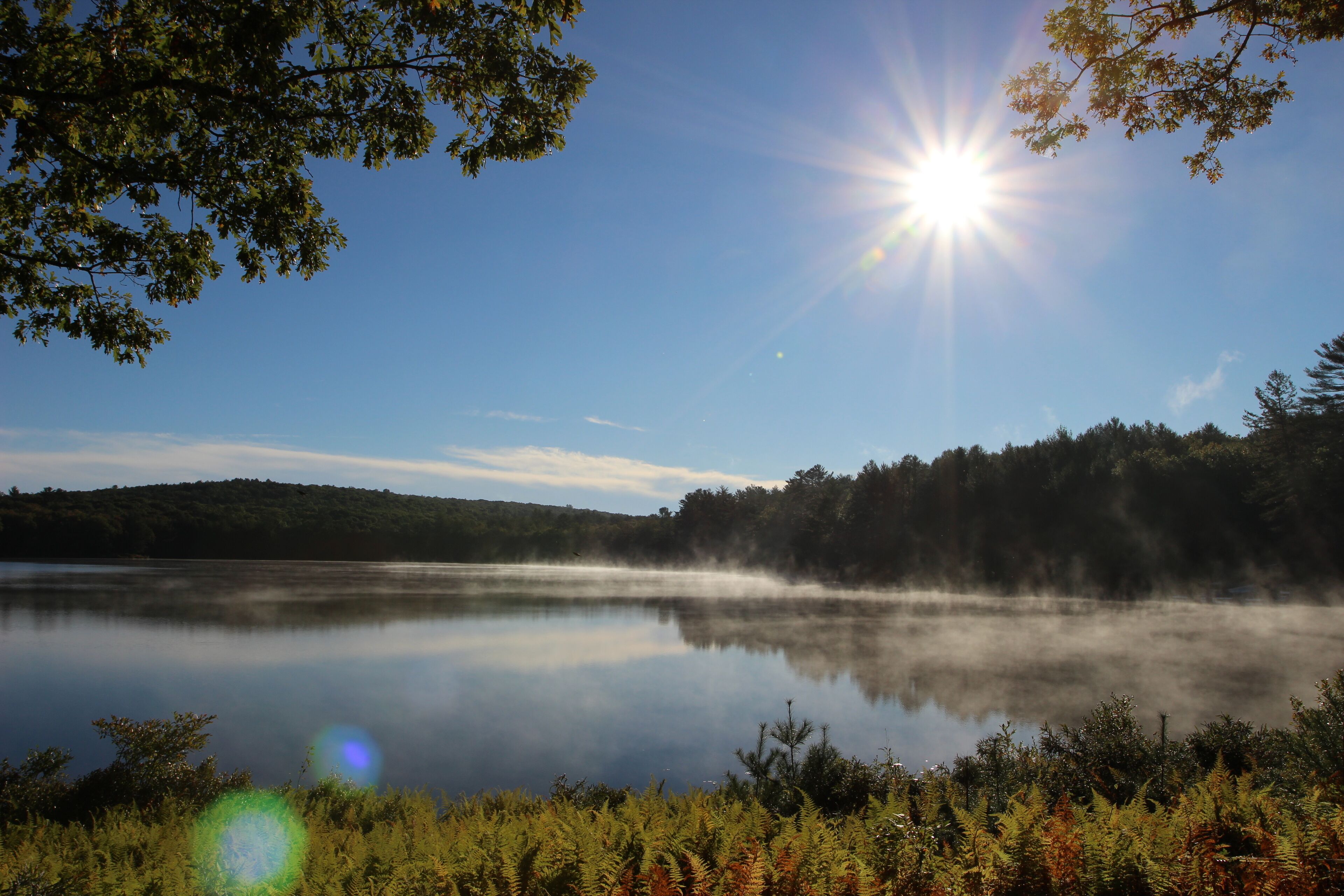 A serene lake with a clear sky and sunlight reflecting on the water.
