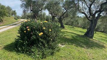 Overnatningsstedets område