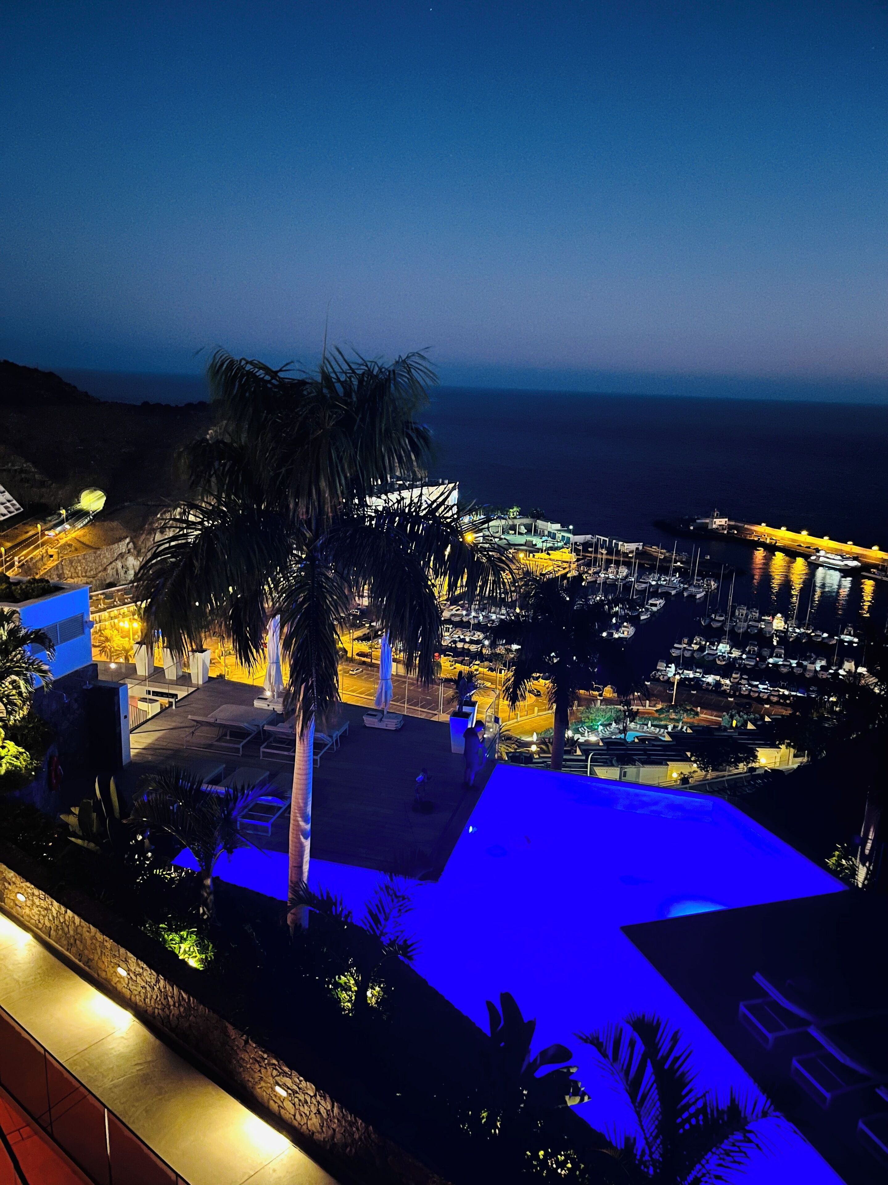 A rooftop pool area with a view of the ocean and a marina.