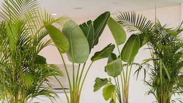 A modern indoor space with large potted plants arranged in a row, a skylight above, and a clean, white interior.