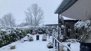Un espacio exterior nevado con un edificio, plantas en macetas y un sendero.