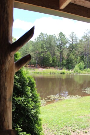 Property grounds - Cozy Cabin in Hamilton w/private pond. Fish, paddle, hike or relax in the tub! (Hamilton)