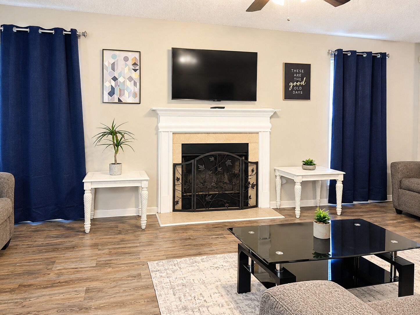 A living room with a fireplace, a flat-screen TV, and two side tables with plants.