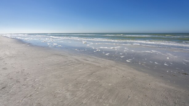 A sandy beach with gentle waves and a clear blue sky. - Indian Rocks Beach Unit B Star5vacations (Indian Rocks Beach)