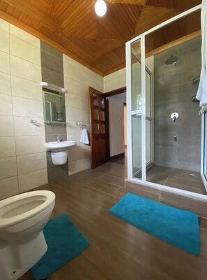 Dusche, Handtücher, Seife, Shampoo