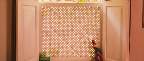 Iron/ironing board, free WiFi