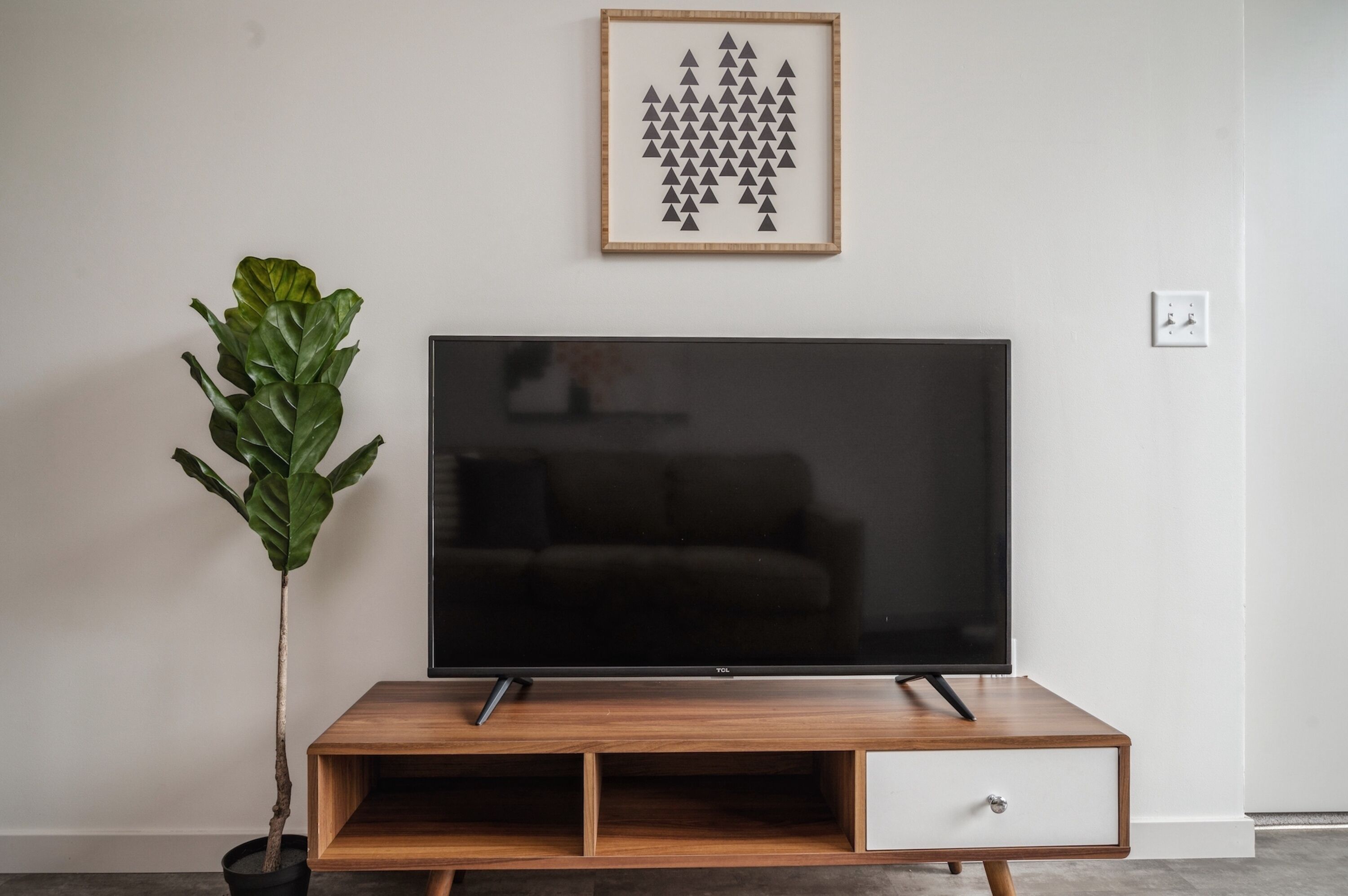 A flat-screen TV on a wooden TV stand with a drawer, a potted plant, and a framed picture on the wall.