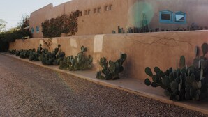 A building with a stucco exterior, a row of cacti along the base, and a blue window on the upper right.