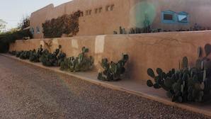 A building with a stucco exterior, a row of cacti along the base, and a blue window on the upper right. - Hot Tub + Pool! Coyote Suite at The Desert Compass in Old Town (Albuquerque)