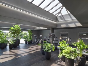 Gym - Hotel AKA Alexandria (Alexandria)