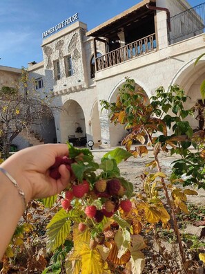 Exterior - Farmer Cave House (Ürgüp)