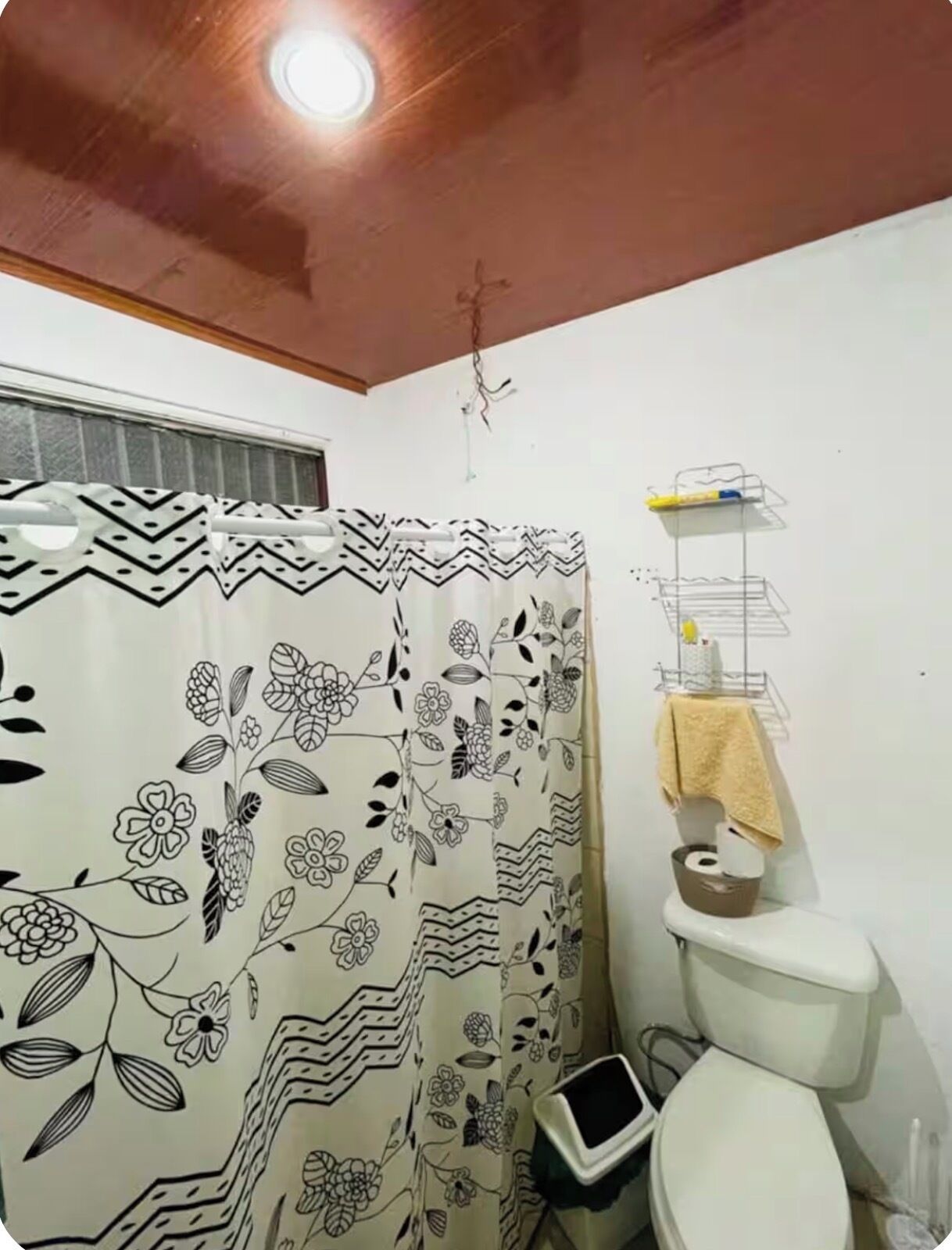 Shower, towels, soap, shampoo