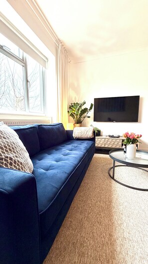 Smart TV, books