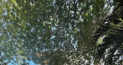 Great Location. Walking distance to the beach!