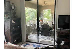 Smart TV, fireplace, books