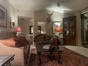 Smart TV, fireplace, books