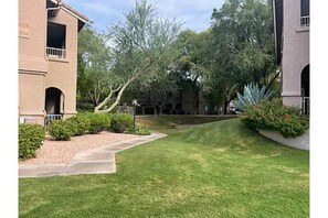 Terrain de l’hébergement 