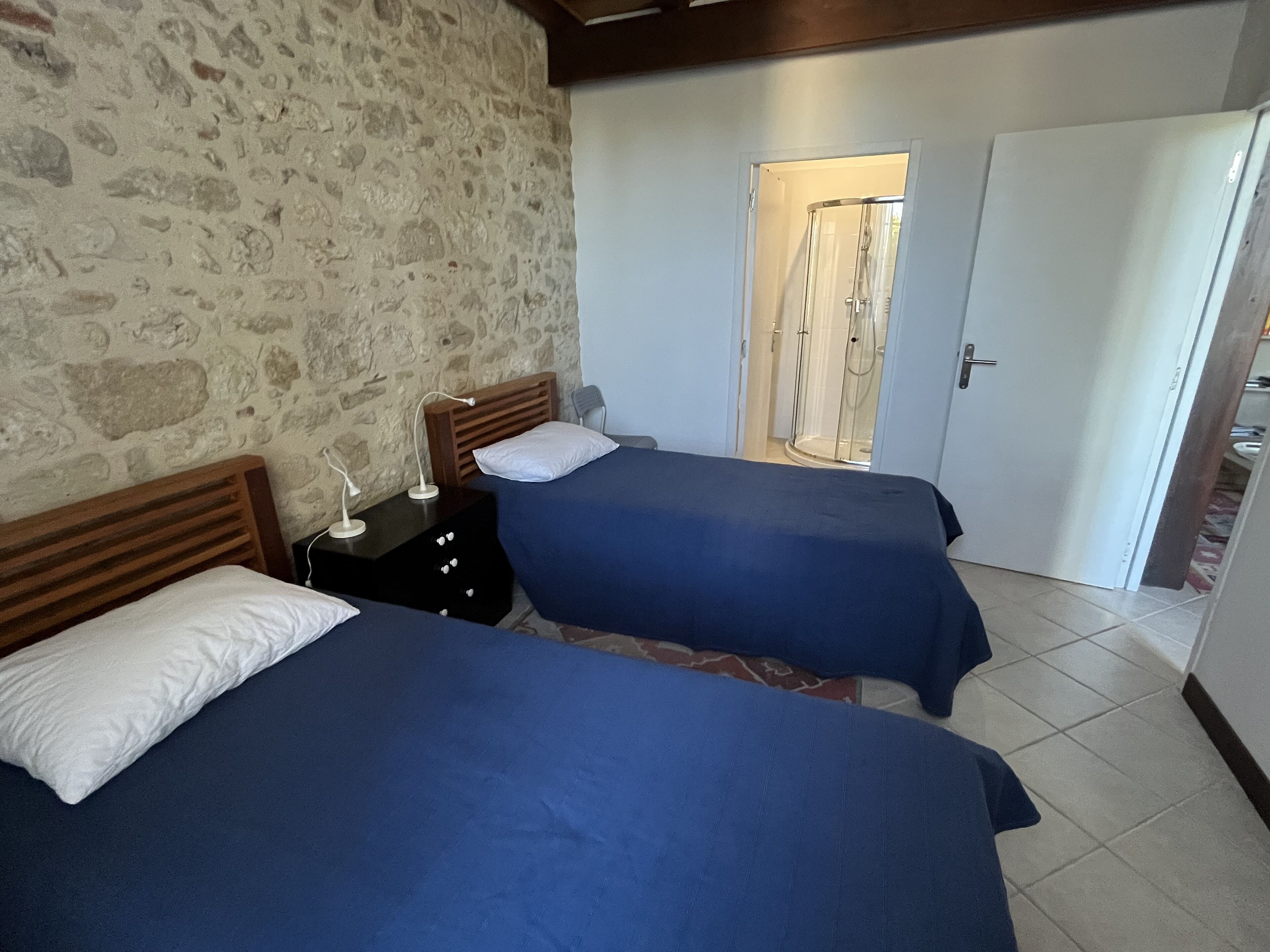 A room with two beds, a stone wall, a shower, and a white door.