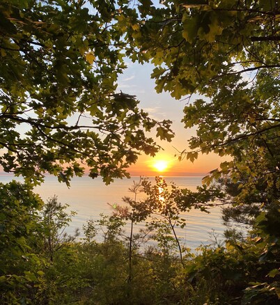 Cozy Sandy Pines Cottage Suite, right on Lake Huron in a Carolinian Forest, 