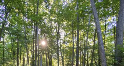 Cozy Sandy Pines Cottage Suite, right on Lake Huron in a Carolinian Forest,