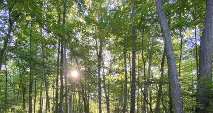 Sandy Pines Cottage Suite, right on Lake Huron in a Carolinian Forest