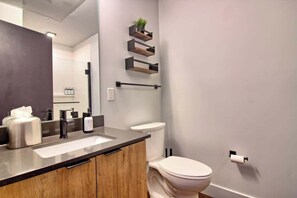 Shower, hair dryer, towels - Chic Ultramodern Studio Loft w/ Designer Features (Saint Louis)