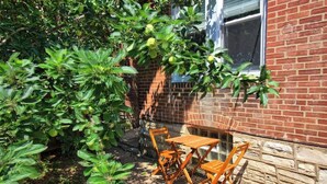 A brick building with a patio area, a table with chairs, and a tree with green leaves. - Irises at TG Park | Fenced Backyard+W/D+Storage (Saint Louis)