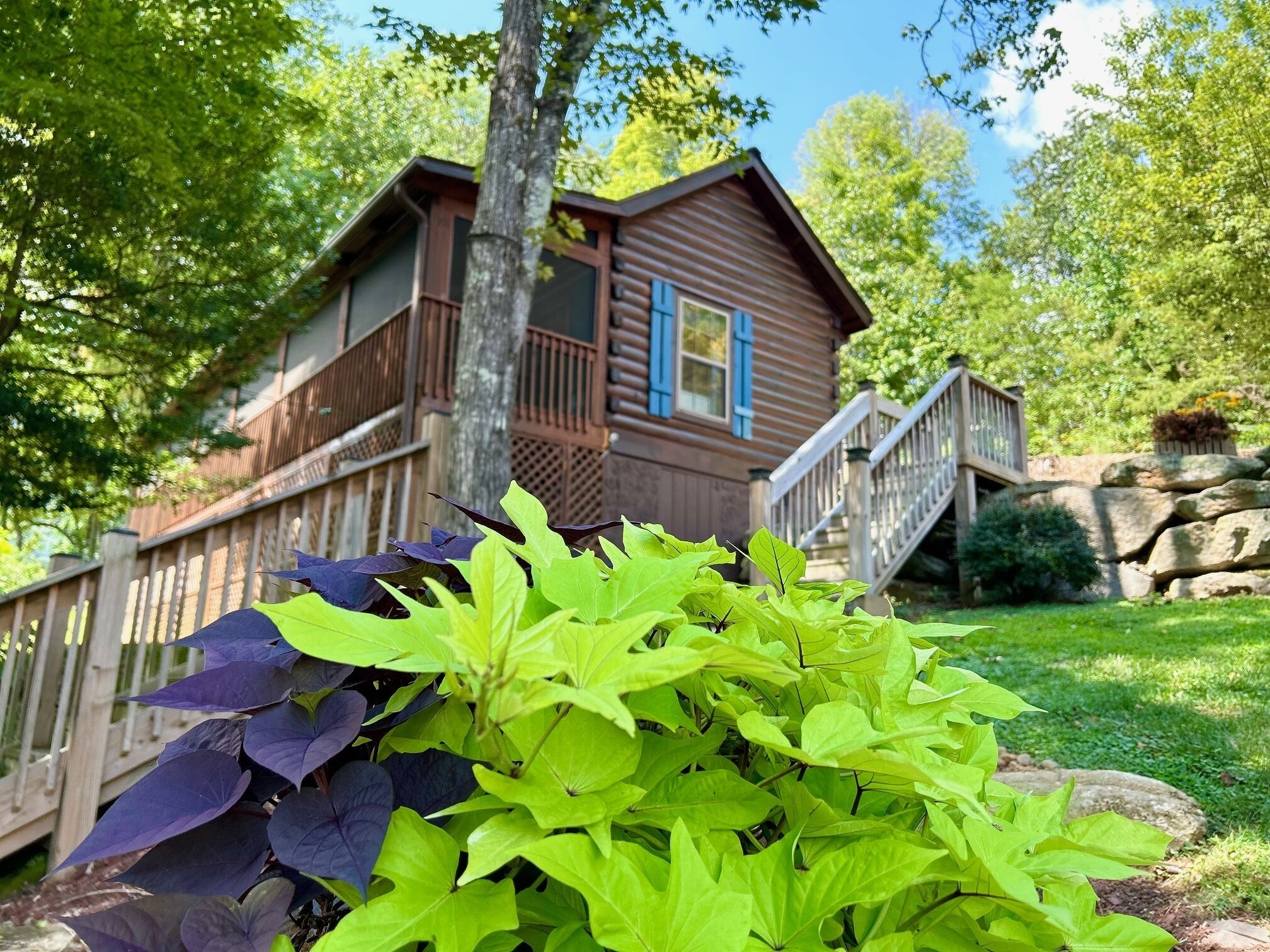 Cozy Blue Skies Cabin - walk to Chimney Rock & Lake Lure