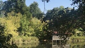 Un llac tranquil amb un moll de fusta que s'endinsa a l'aigua, envoltat de vegetació i arbres densos.