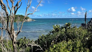 A coastal landscape with a clear view of the ocean, a rocky shoreline, and dense vegetation. - Lovely, cosy apartment - Right on the water (Le Gosier)