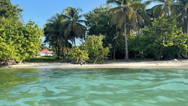 A beach with clear turquoise water, palm trees, and a building with a red roof in the background. - Lovely, cosy apartment - Right on the water (Le Gosier)