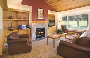 TV, fireplace, video games, DVD player