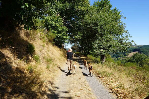 Parco della struttura