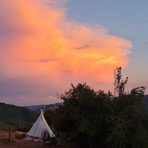 Miscellaneous - Captivating Tipi dans La foret du Dragon in Murols (Murols)