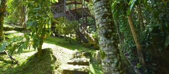 Oyo 90630 Mat Leon Village