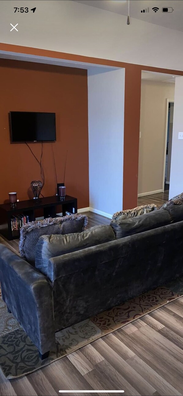Smart TV, fireplace, books
