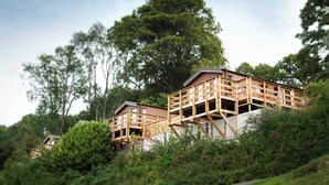 Une cabane en bois dotée d’un balcon, entourée d’une végétation luxuriante et d’arbres.