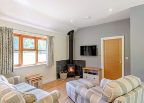 Televisio, takka