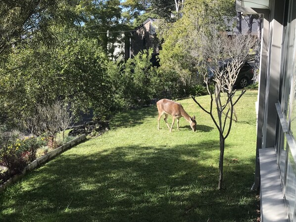 Jardines del alojamiento