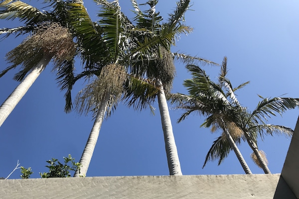 Área da propriedade